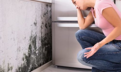 comment-detecter-infiltration-eau-mur comment-detecter-infiltration-eau-mur